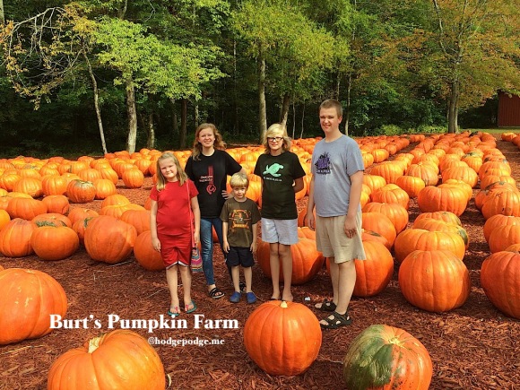 Burt's Pumpkin Farm