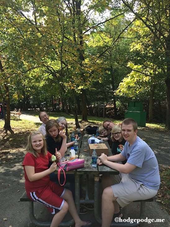 Fried pies from Mercier at Amicalola Falls