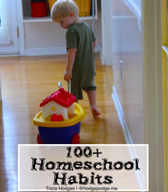 The basic routes I’ve discovered for seeing results. (And honestly, for keeping my sanity in that daily does of chaos!) Over 100 helpful homeschool habits.
