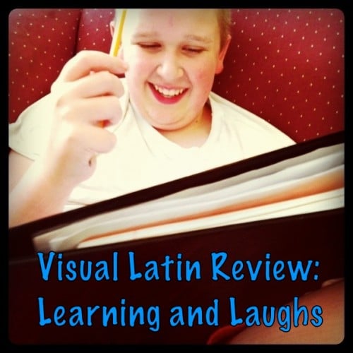 Visual-Latin-Review-500x500