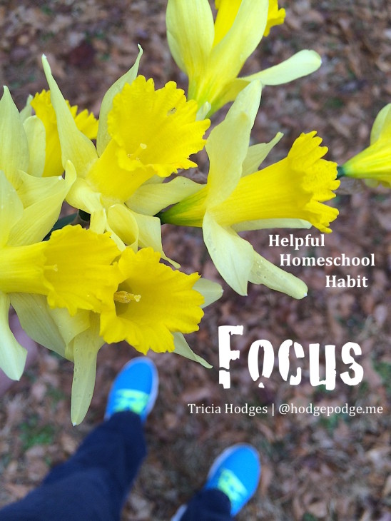 Helpful Homeschool Habit - Focus