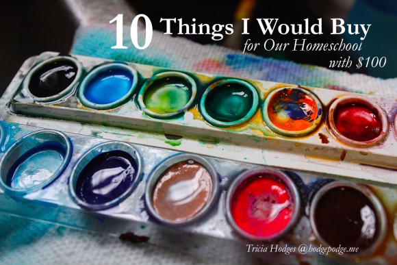10 Things I Would Buy For Our Homeschool with $100 to Spend at Amazon