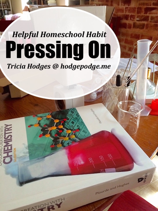 Helpful Homeschool Habit - Pressing On