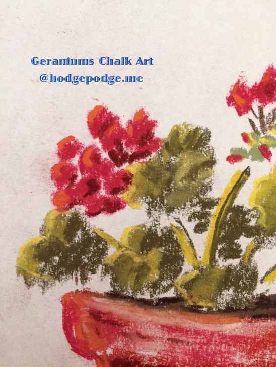 How to draw a geranium in chalk pastels