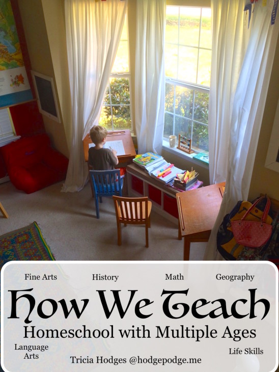 How We Teach...Homeschool
