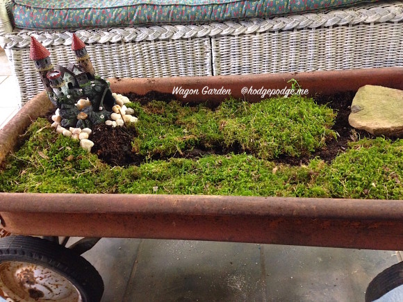 Moss in Wagon Garden