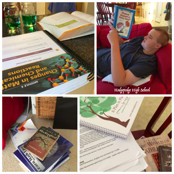 Hodgepodge High School