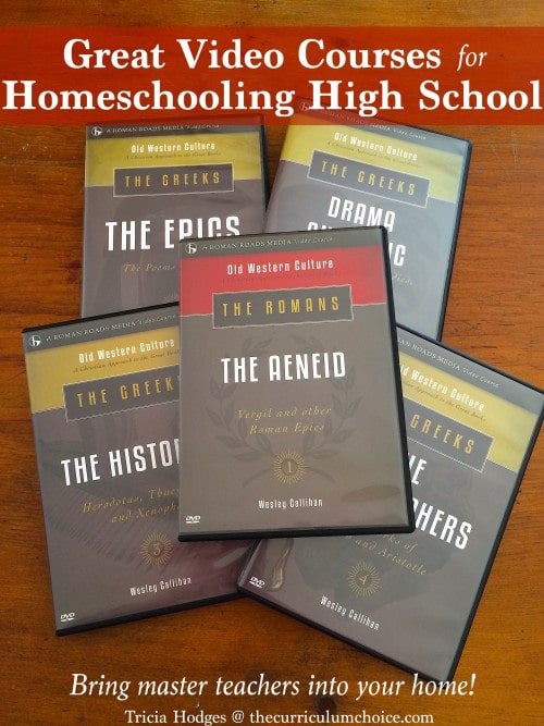 great-video-courses-for-homeschool-bring-master-teachers-into-your-home-500x667