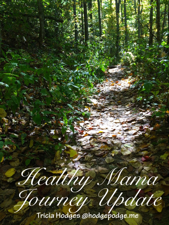 Healthy Mama Journey Update - with Trim Healthy Mama Cookbook Giveaway