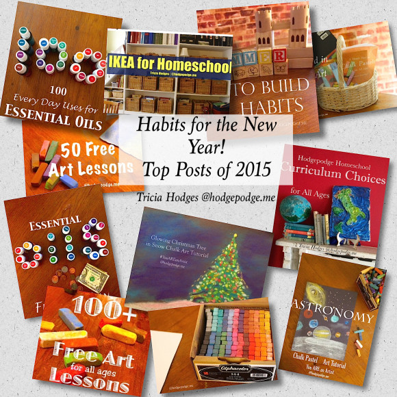 Habits for the New Year - Top Posts of 2015 at Hodgepodge