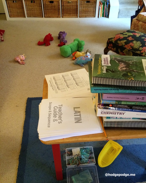 Homeschooling multiple ages at Hodgepodge