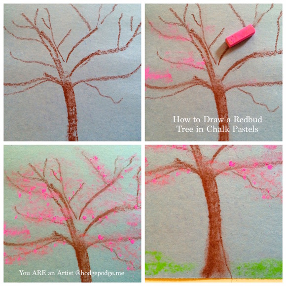 How to Draw a Redbud Tree in Chalk Pastels