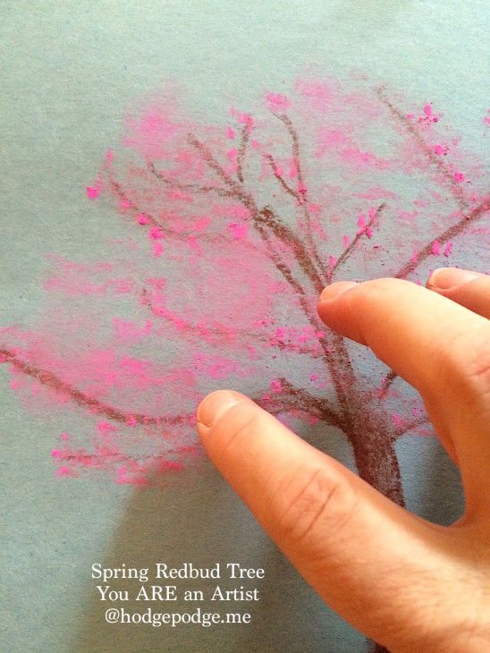 Making Redbud Blossoms in Chalk Pastels - You ARE an Artist