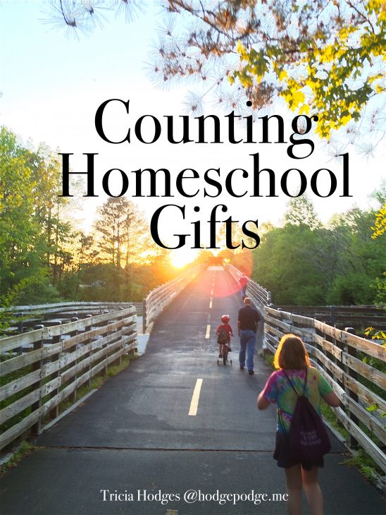 Counting Homeschool Gifts at Hodgepodge