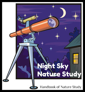 Night+Sky+Grid+Study+@handbookofnaturestudy.blogspot.com_