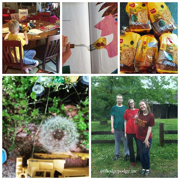 say yes to adventure - counting homeschool gifts at Hodgepodge