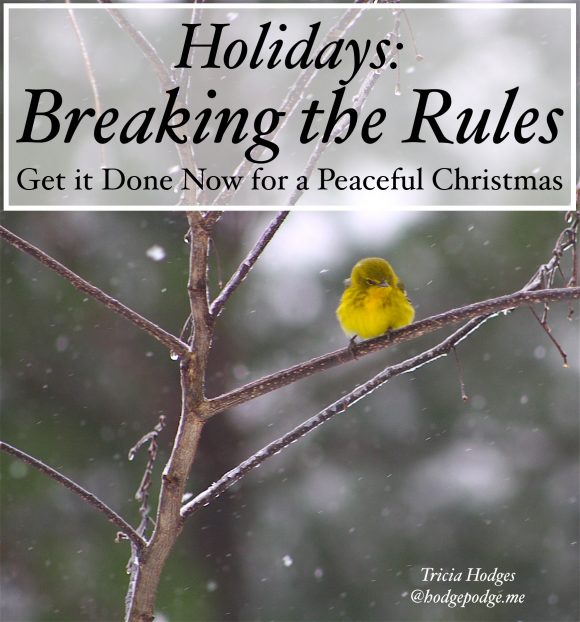 Holidays and breaking the rules. Also known as doing those to dos early. December is such a busy time, why not move a few of those ‘to-dos’ to November?