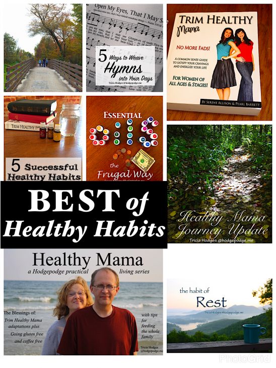 Head into the new year with a look at a hodgepodge of healthy habits to encourage you. I'm pulling out all the best of healthy mama habits.