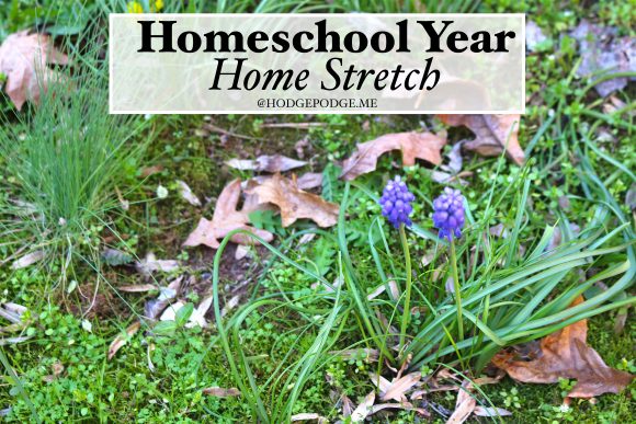 Can you feel it too? We are definitely in the homeschool year home stretch. It's a chance to finish strong over these next weeks. 