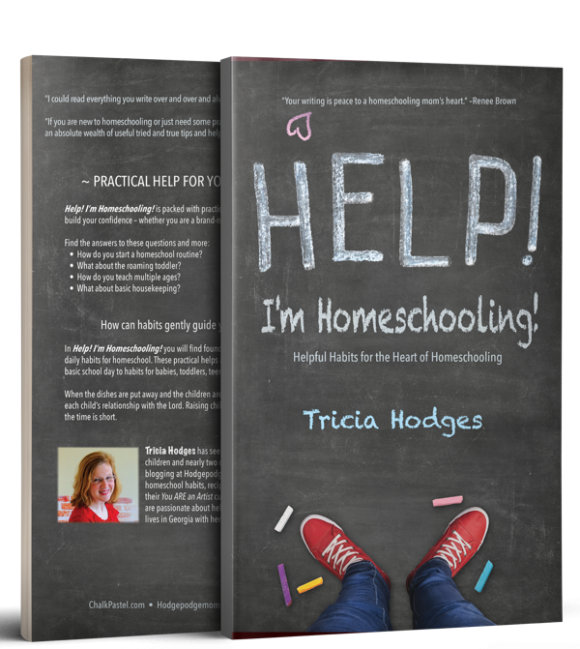 Help! I’m Homeschooling! is packed with the practical, how to advice to encourage you and build your confidence – whether you are a brand-new homeschooler or a seasoned veteran.