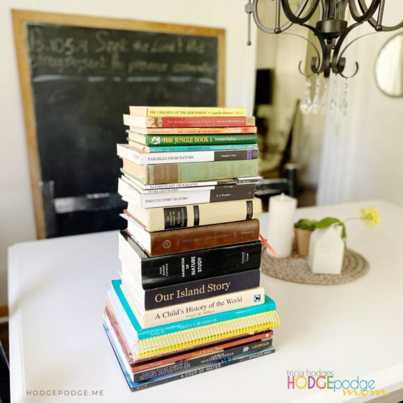 Everything You Need to Know About Choosing a Homeschool Curriculum