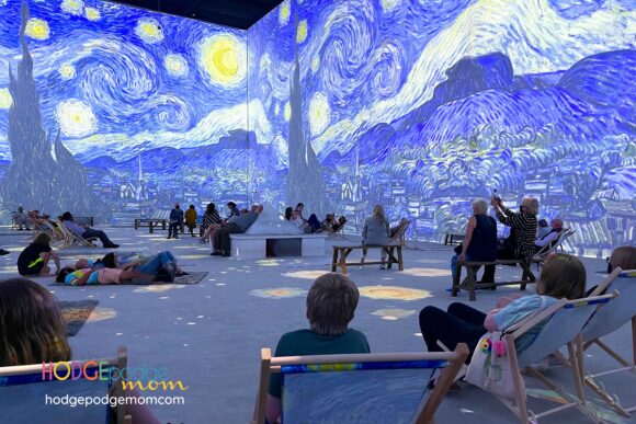 The Immersive Room at The Van Gogh Experience is amazing!!