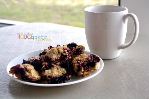 IMG_5650 A long-time and long-loved recipe in our family is Mama Ann's Morning Bars. An easy breakfast bars recipe with oatmeal and black raspberry jam.