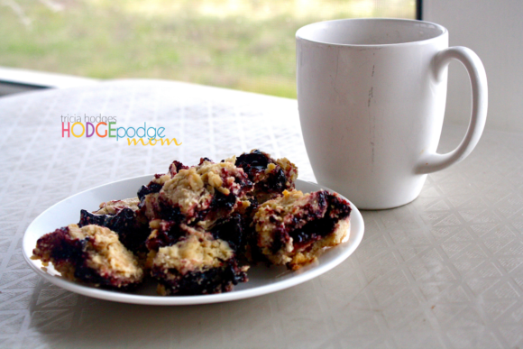 A long-time and long-loved recipe in our family is Mama Ann's Morning Bars. An easy breakfast bars recipe with oatmeal and black raspberry jam.