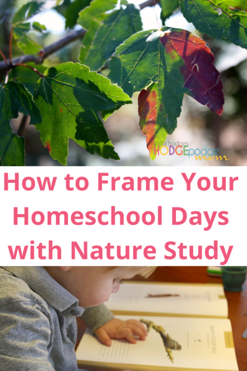 Here are some simple and practical tips to frame your homeschool days with nature study. The results are so rewarding for such a little time investment!